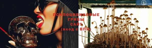 эйфоретик Няндома
