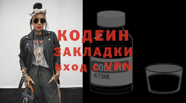 шишки Абаза
