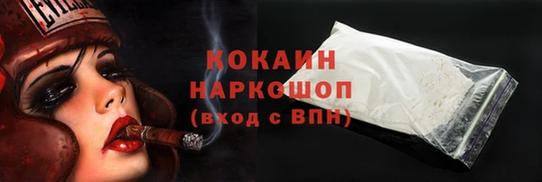 эйфоретик Няндома