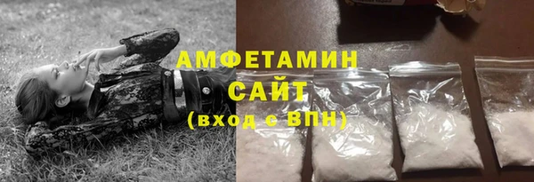 шишки Абаза
