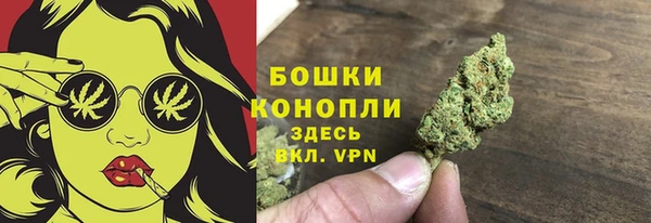эйфоретик Няндома
