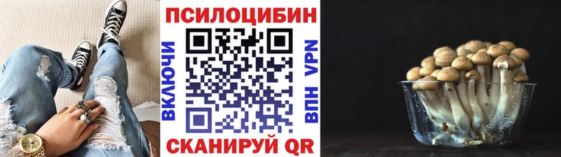 купить наркоту  kraken сайт  Псилоцибиновые грибы Psilocybe  Советский 
