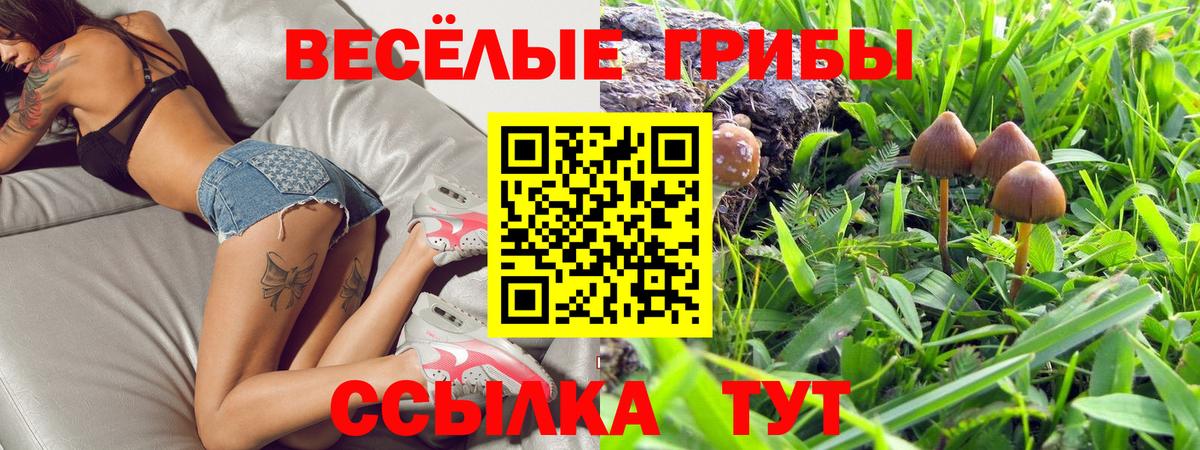 Галлюциногенные грибы прущие грибы Советский